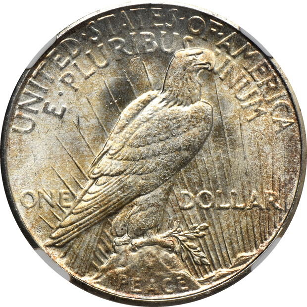 1922-D NGC MS-64, 1923-S NGC MS-64, and an1923-D PCGS MS-63, all CAC