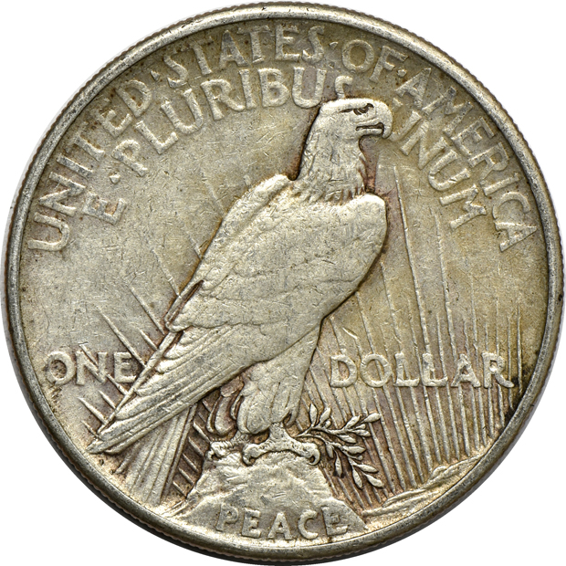 Twenty 1921 Peace silver dollars, F to XF