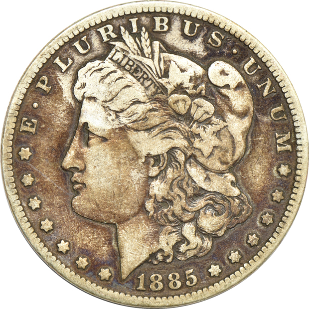 Collection of Morgan and Peace silver dollars in Dansco albums