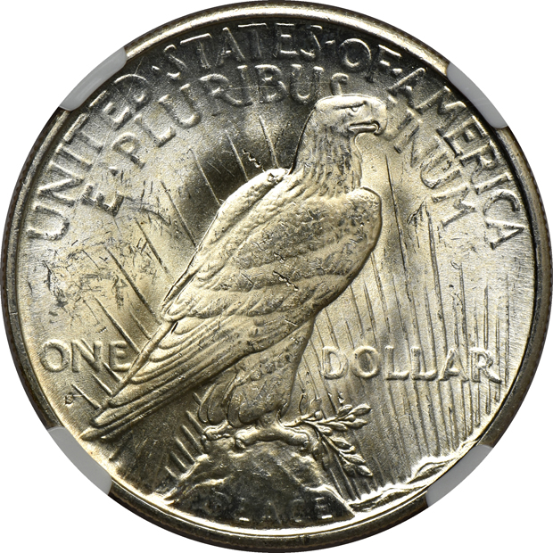 Five certified Peace silver dollars