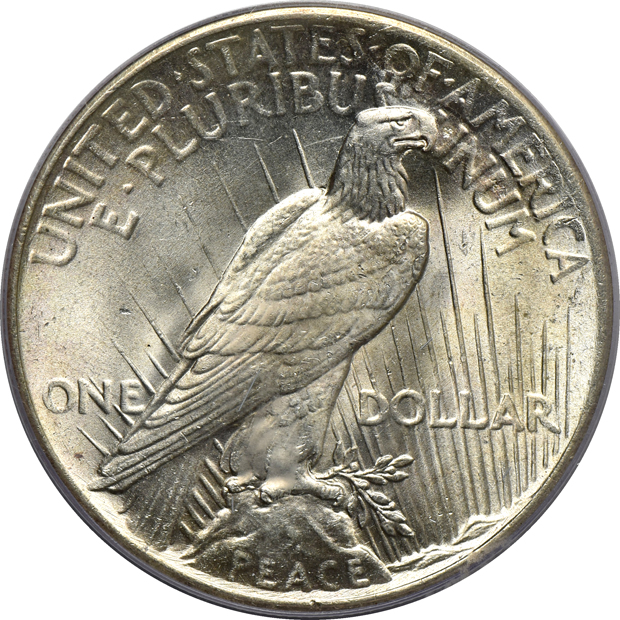 Five certified Peace silver dollars