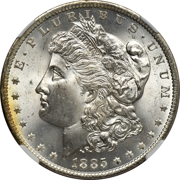 Eleven 1885-O NGC MS-66, plus one in MS-65
