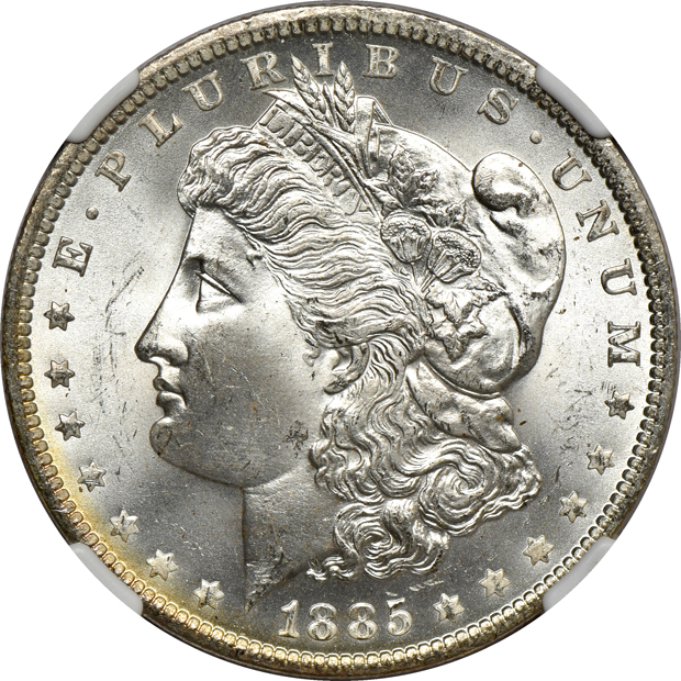Eleven 1885-O NGC MS-66, plus one in MS-65