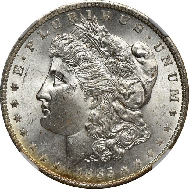Eleven 1885-O NGC MS-66, plus one in MS-65