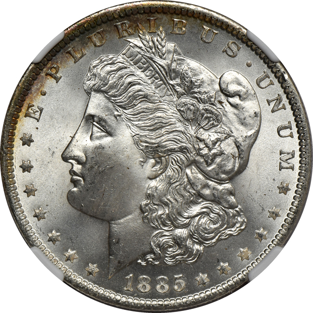 Eleven 1885-O NGC MS-66, plus one in MS-65