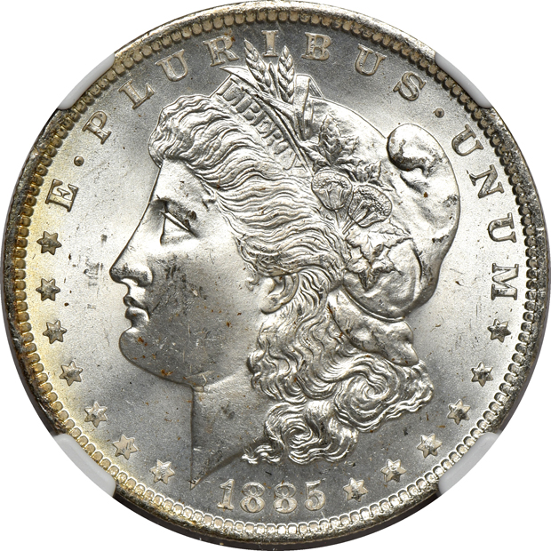 Eleven 1885-O NGC MS-66, plus one in MS-65