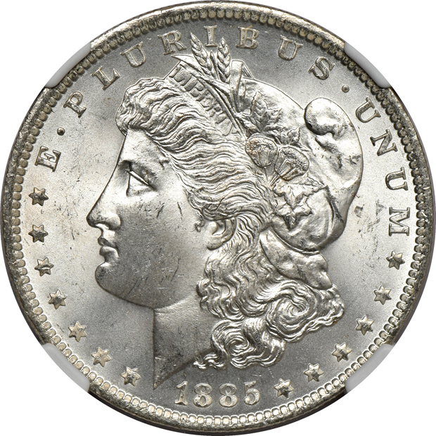 Eleven 1885-O NGC MS-66, plus one in MS-65