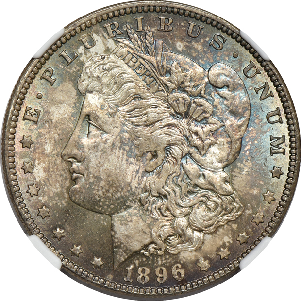 Eleven Uncirculated toned Morgan silver dollars, all CAC