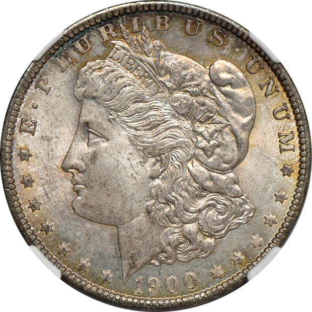 Eleven Uncirculated toned Morgan silver dollars, all CAC