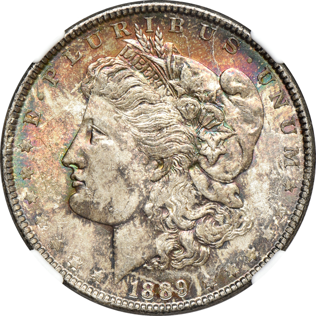Eleven Uncirculated toned Morgan silver dollars, all CAC