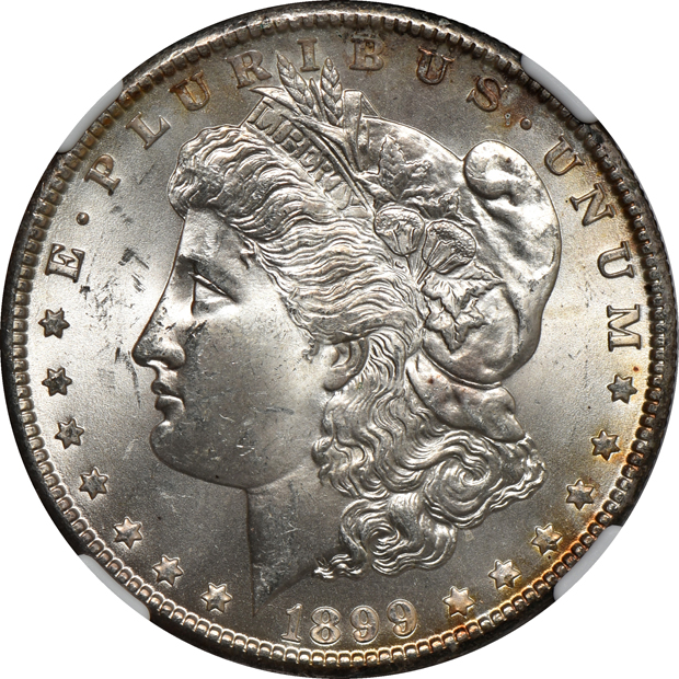Eight Uncirculated Morgan silver dollars and an Uncirculated Peace silver dollar, all NGC