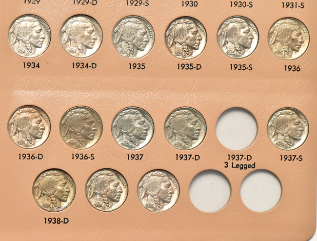 Nearly complete collection of Buffalo nickels in a Dansco 7112 album
