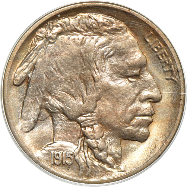Nine Buffalo nickels, as described