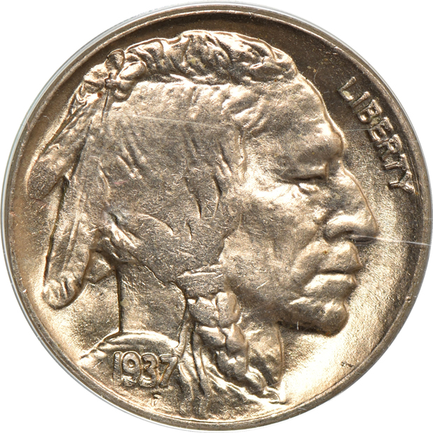 Nine Buffalo nickels, as described