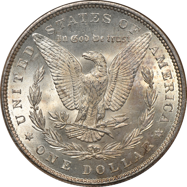 1883, 1883-O, and 1902-O, all NGC MS-66