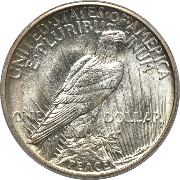 Three 1921 Peace, High Relief PCGS MS-63