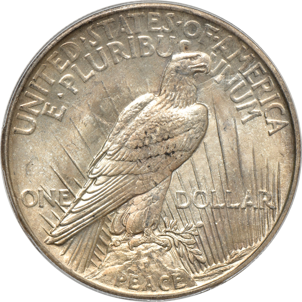 Three 1921 Peace, High Relief PCGS MS-63