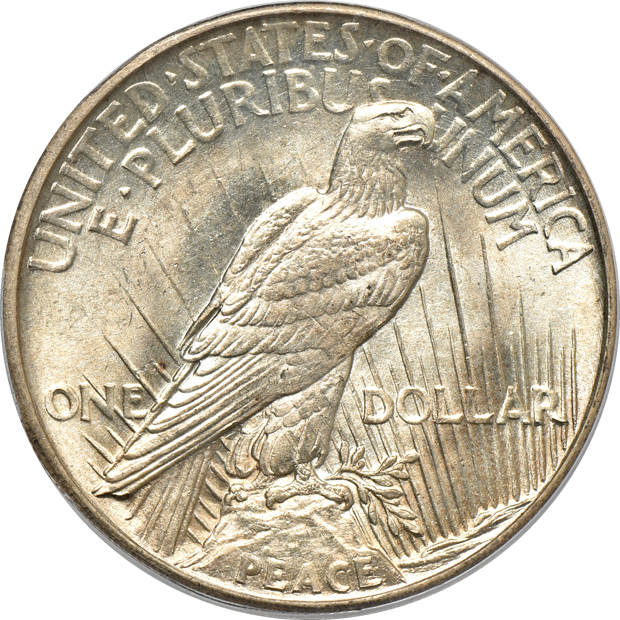 Three 1921 Peace, High Relief PCGS MS-63