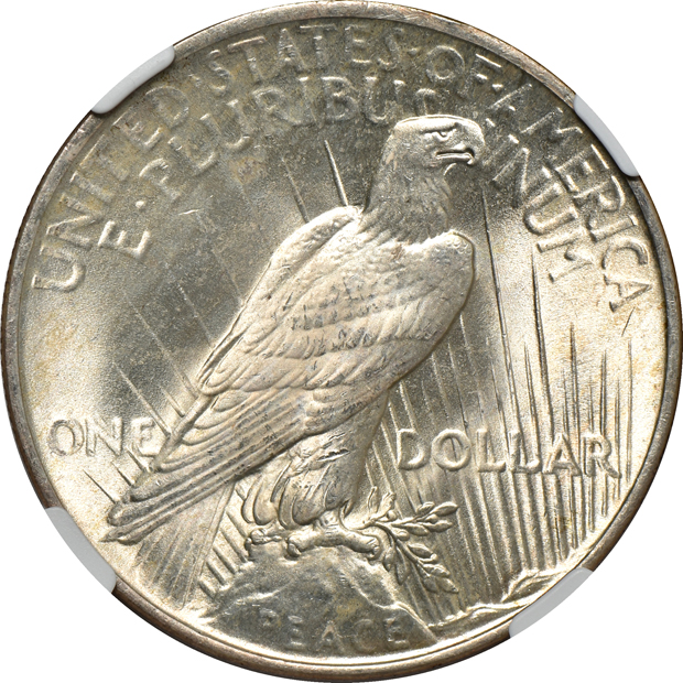 1922 MS-66 CAC, 1923-S MS-64+, and a 1924 MS-66+, all NGC