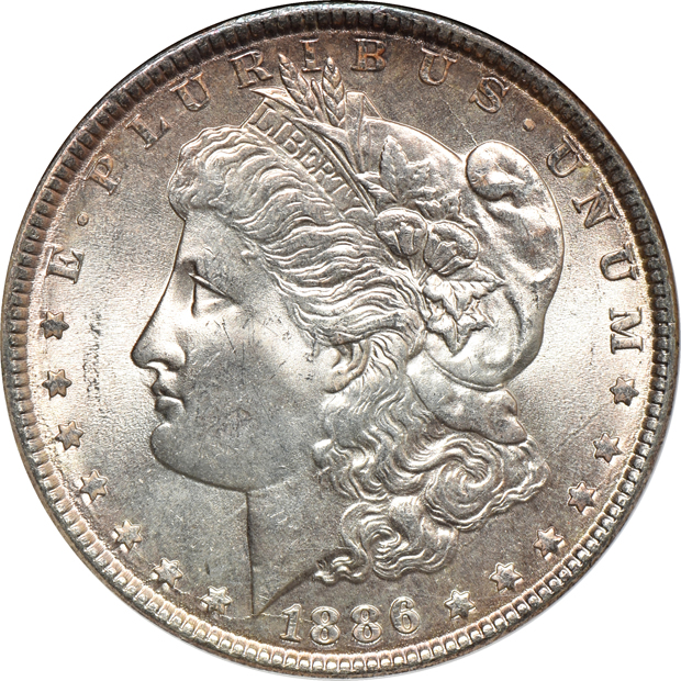 Ten Morgan silver dollars, all ANACS MS-64 (small slab)