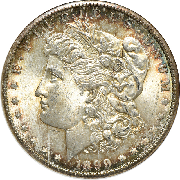 Ten Morgan silver dollars, all ANACS MS-64 (small slab)