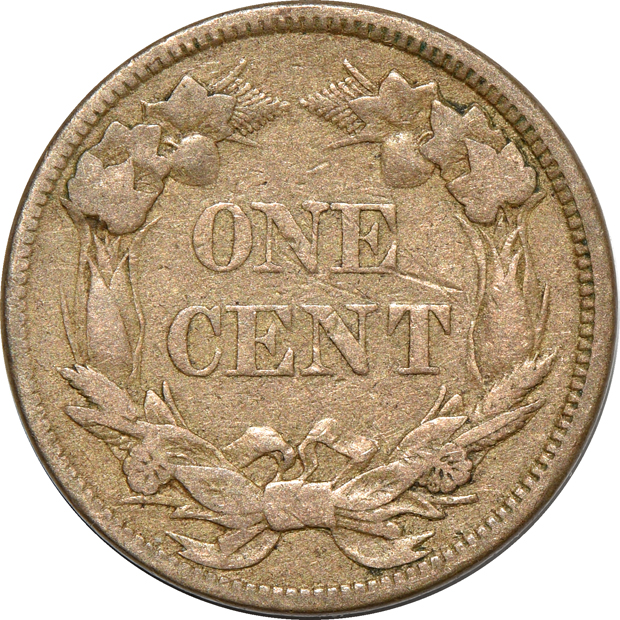 Two Flying Eagle cents and nineteen Indian Head cents in a Dansco 7101 album