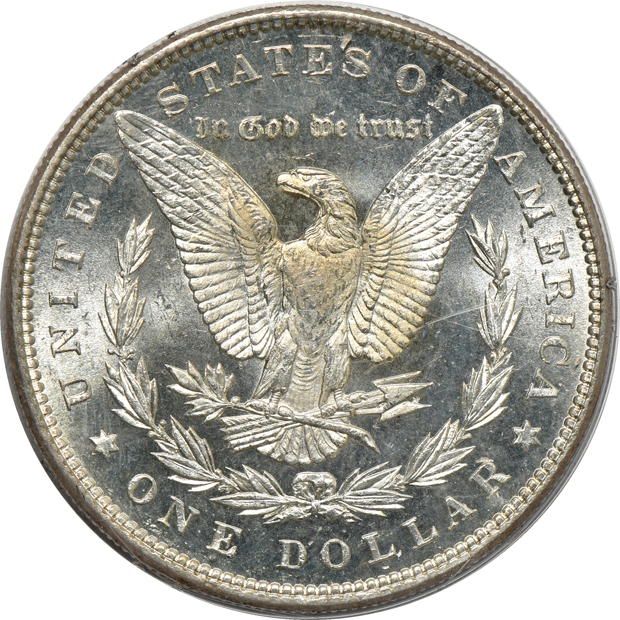 Eight Morgan silver dollars, all PCGS (rattler)
