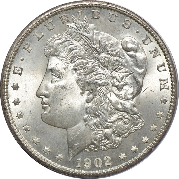 Eight Morgan silver dollars, all PCGS (rattler)