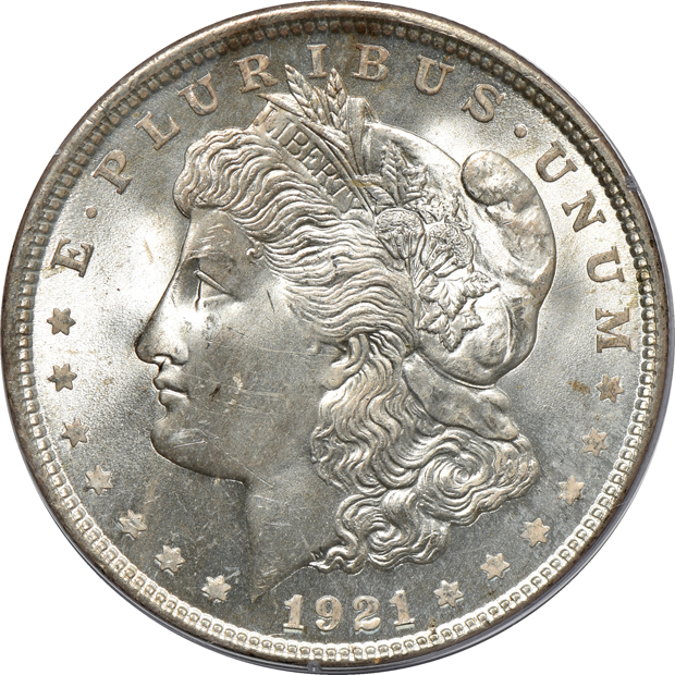 Eight Morgan silver dollars, all PCGS (rattler)