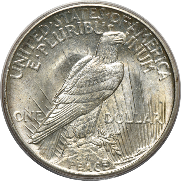1921 Peace, High Relief PCGS MS-65 (green label)