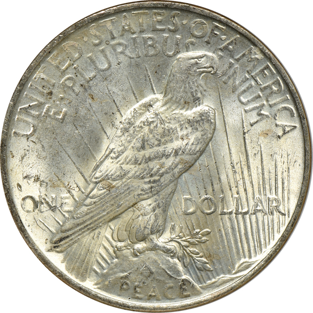 Five Peace silver dollars, all SAMPLE NGC MS-60 (no line)