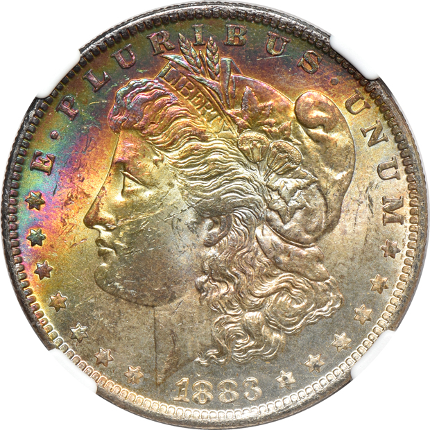 Twelve toned Morgan silver dollars certified by NGC