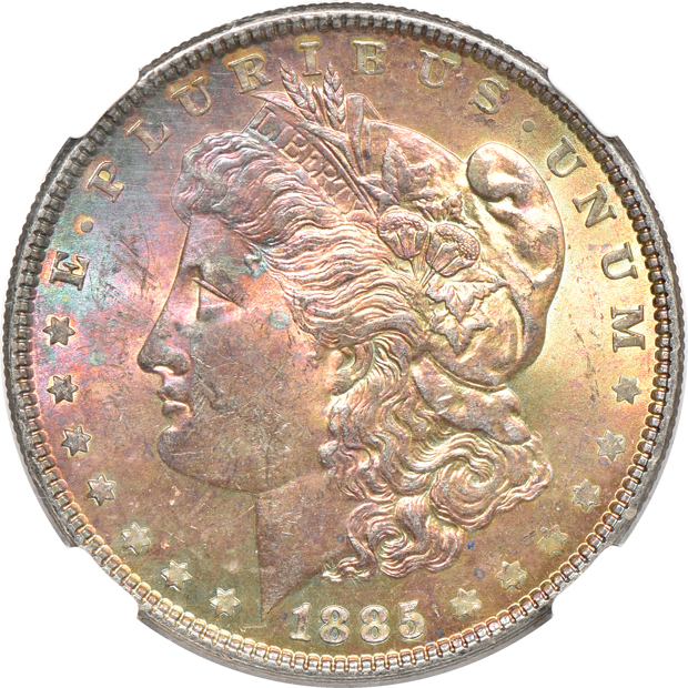 Twelve toned Morgan silver dollars certified by NGC