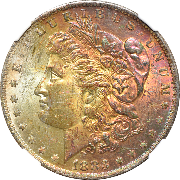Twelve toned Morgan silver dollars certified by NGC