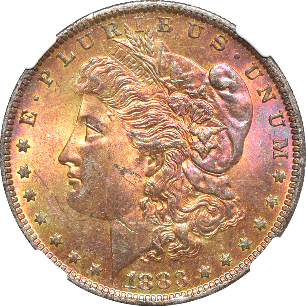 Twelve toned Morgan silver dollars certified by NGC