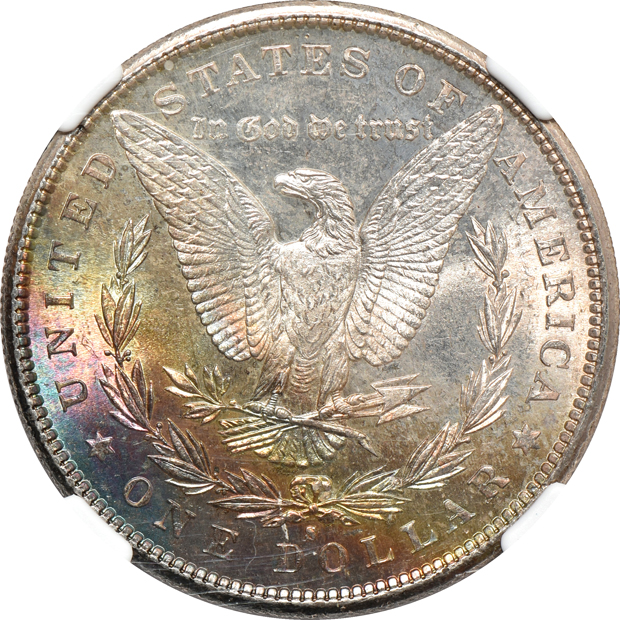 Twelve toned Morgan silver dollars certified by NGC