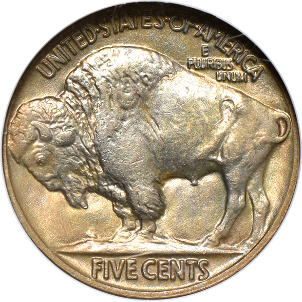 Eight certified Buffalo nickels