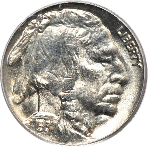 Eight certified Buffalo nickels