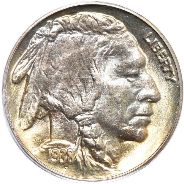 Eight certified Buffalo nickels