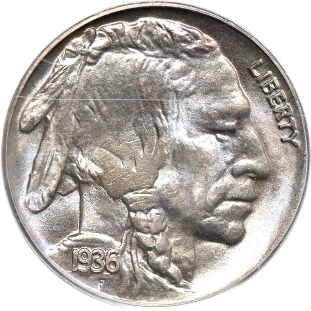 Eight certified Buffalo nickels