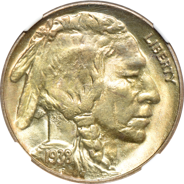 Eight certified Buffalo nickels