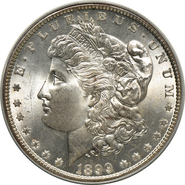 Seven certified Morgan silver dollars