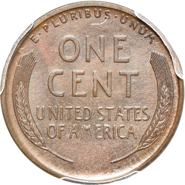 Five different Lincoln Wheat cents certified by PCGS