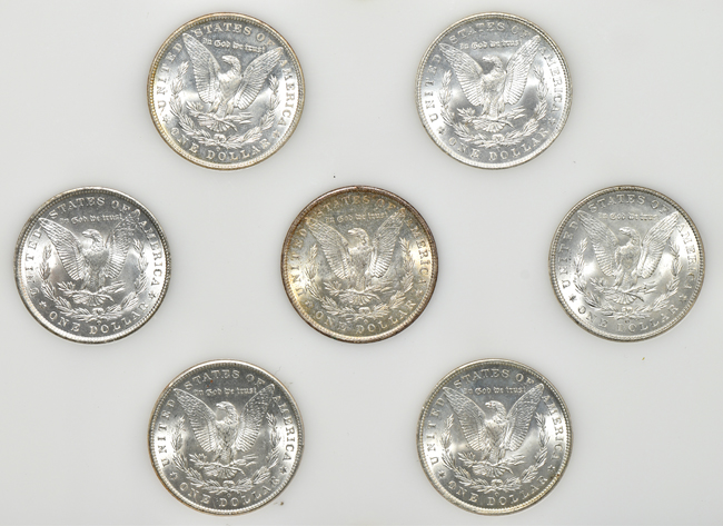 Seven different New Orleans minted Morgan silver dollars in a Capital Plastics holder