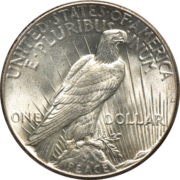 Complete collection of certified Peace silver dollars