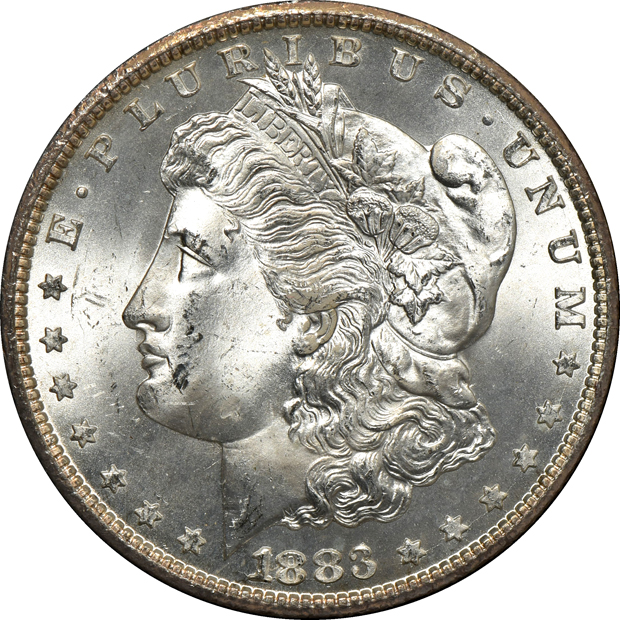 1882-CC GSA MS-64, 1883-CC GSA MS-64, and an 1883-CC GSA MS-65+, all NGC
