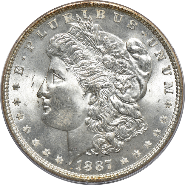 Seven Morgan silver dollars certified MS-65