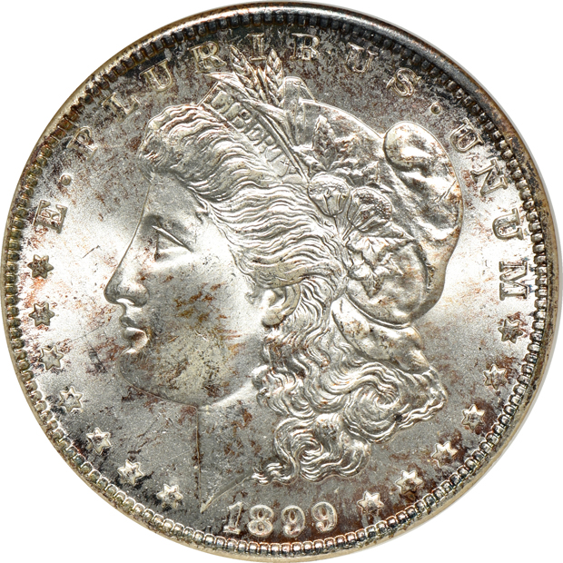 Seven Morgan silver dollars certified MS-65