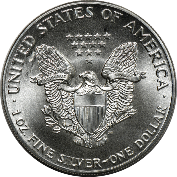 Twenty-two American Silver Eagle with strike through