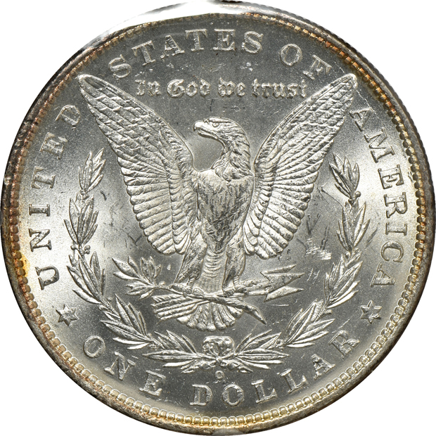 Thirteen Morgan silver dollars